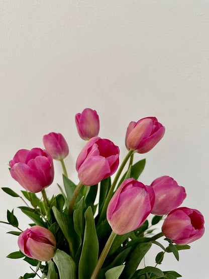 Pink Tulips