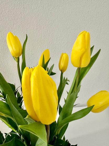 Yellow Tulips