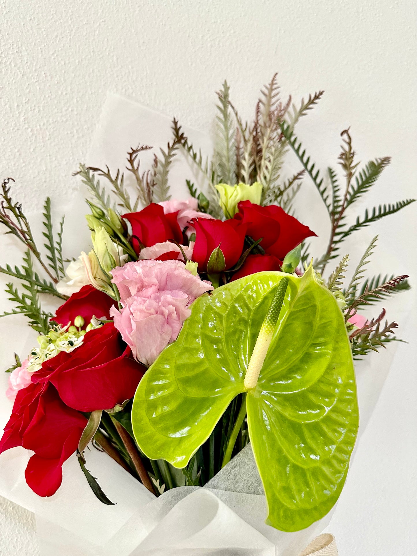 ANTHURIUM LOVE